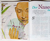 birgit lang, illustration: aromatherapie